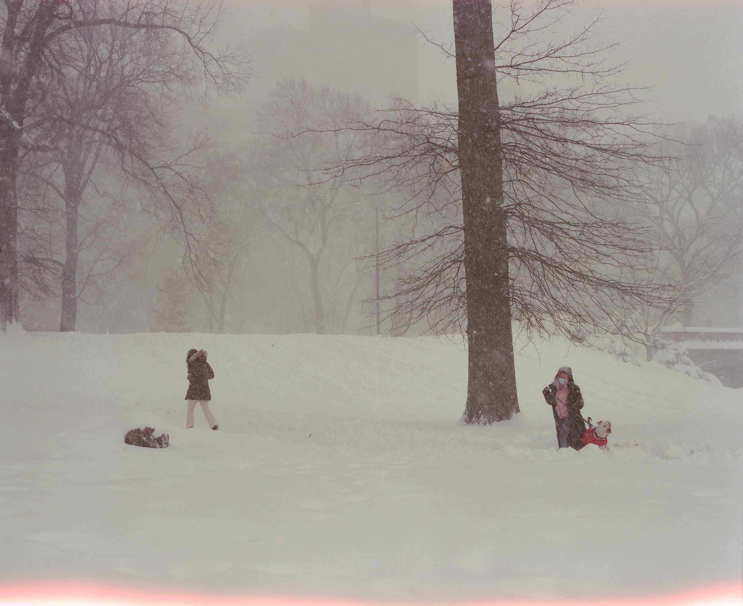 Snow fight